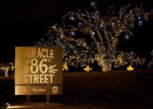 des moines christmas light tour